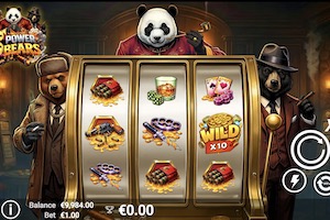 3 Power Bears