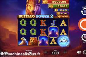 Buffalo Power 2 : Hold & Win