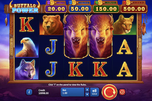 Buffalo Power : Hold & Win