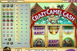 Crazy Camel Cash