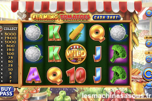 Flaming Tomatoes Cash Shot