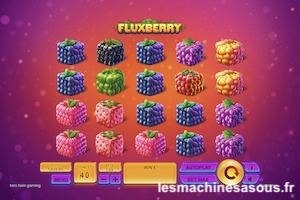 FluxBerry