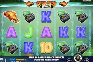 Gold Carp Bonanza