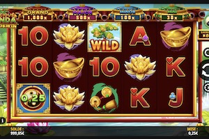 Precious Panda : Hold & Win