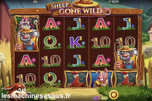 Sheep Gone Wild