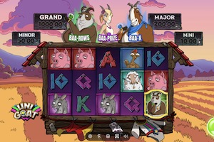 Unigoat