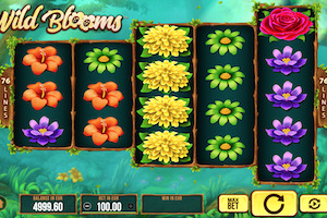 Wild Blooms