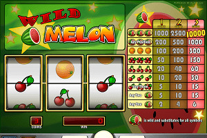 Wild Melon
