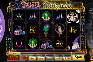 Wild Wizards 
