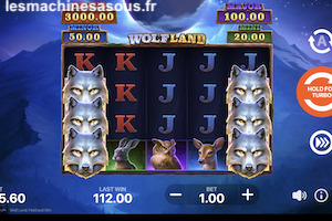 Wolf Land: Hold & Win