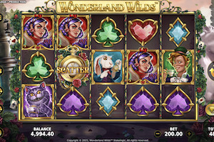 Wonderland Wilds